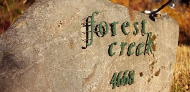 Forest Creek