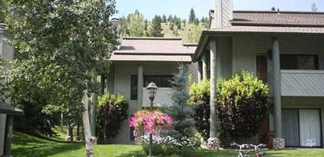 Greyhawk