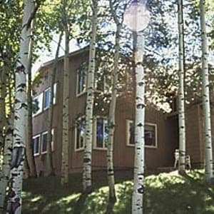 Willows