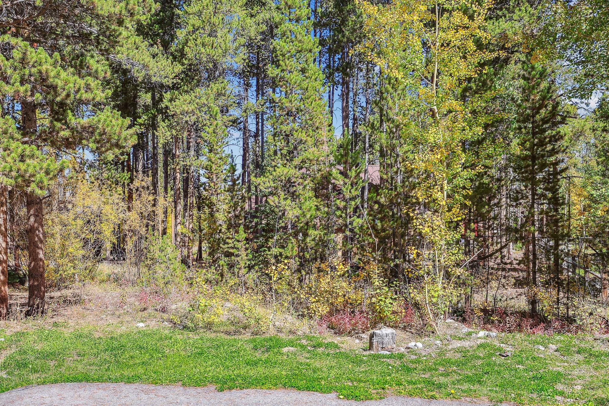 Exterior - Freeride Haus - Breckenridge Vacation Rental