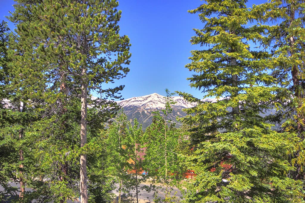 Exterior - Lofty Fox Villa - Breckenridge Vacation Rental