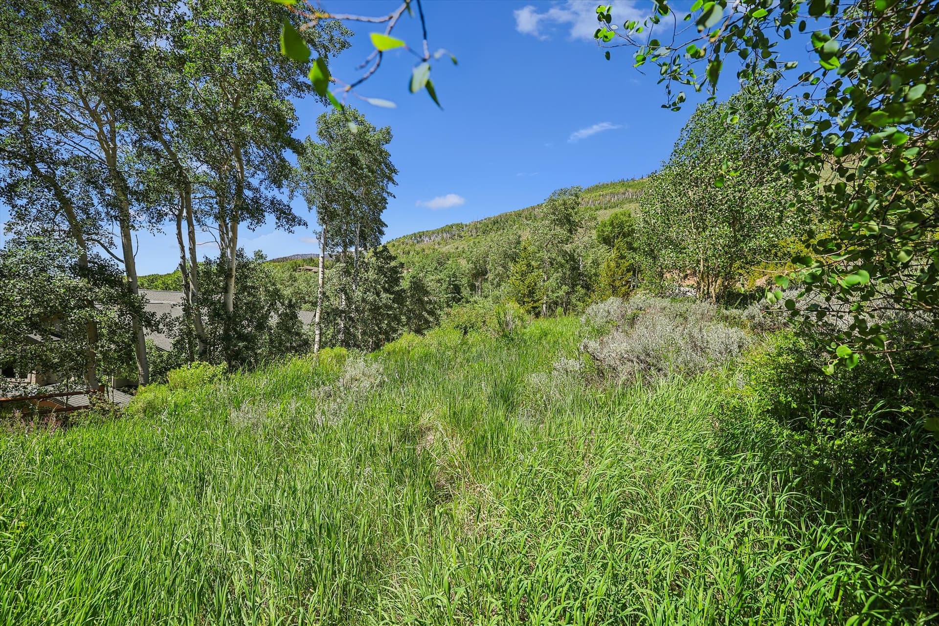 Exterior - Hamilton Creek Cabin - Silverthorne Vacation Rental