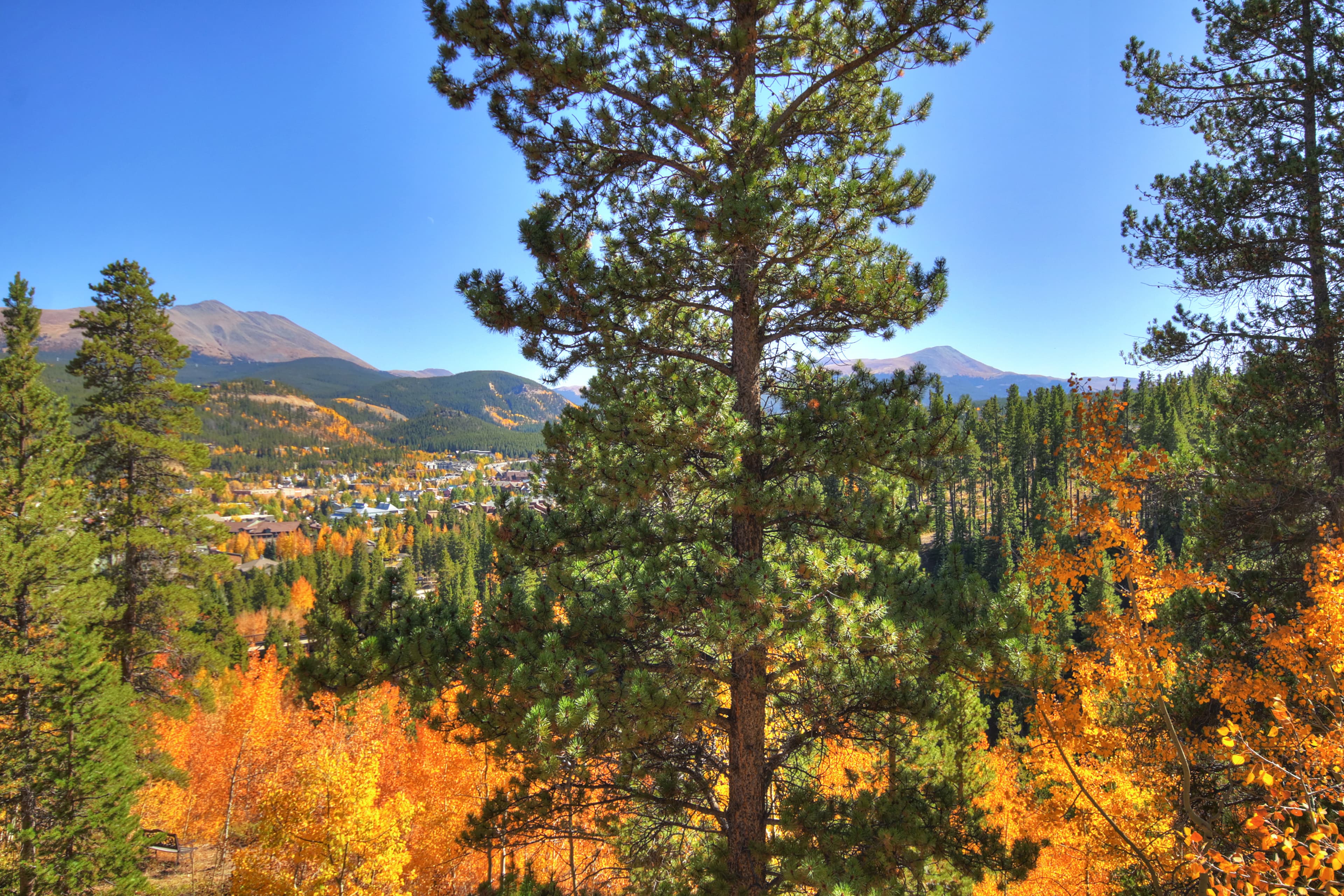 Exterior - Lookout on Christie Lane - Breckenridge Vacation Rental