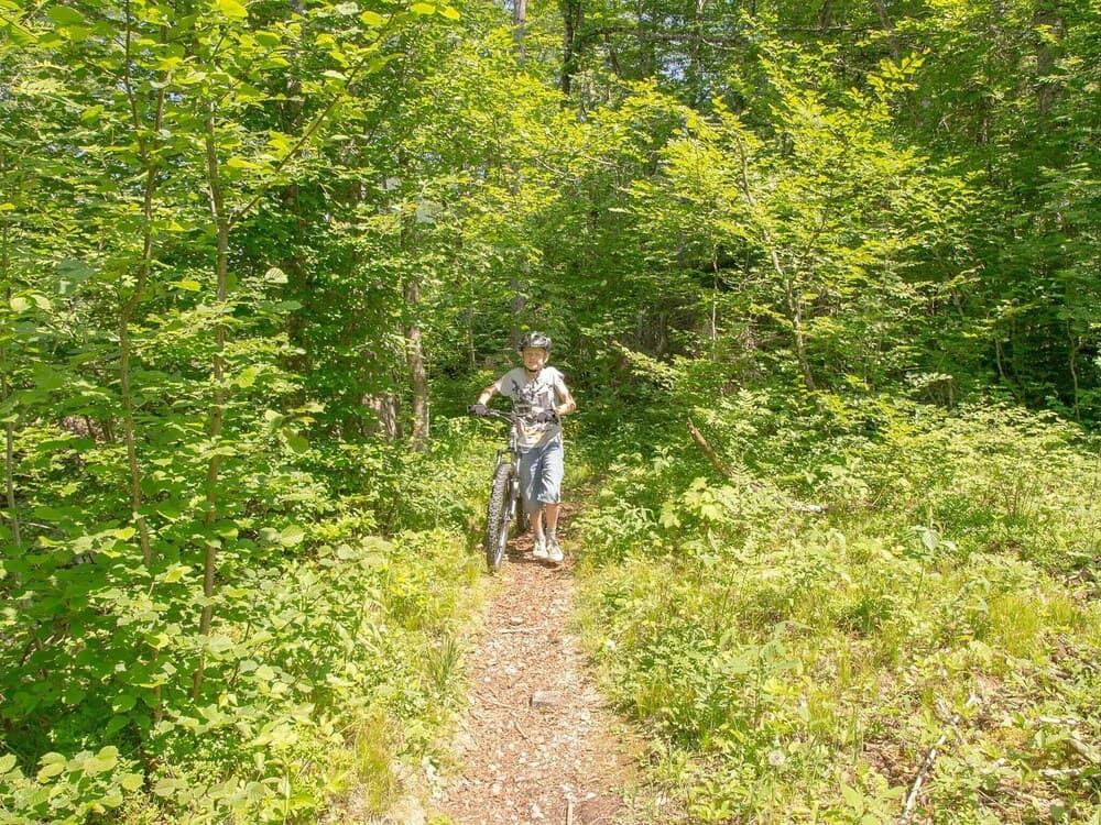 Hiking