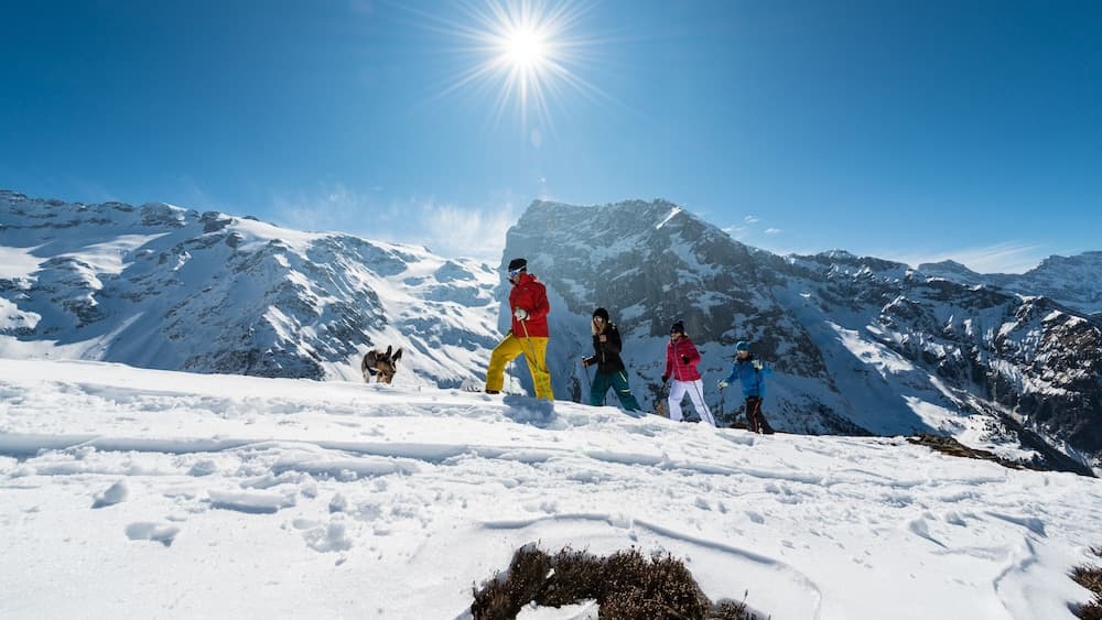 Ski hill
