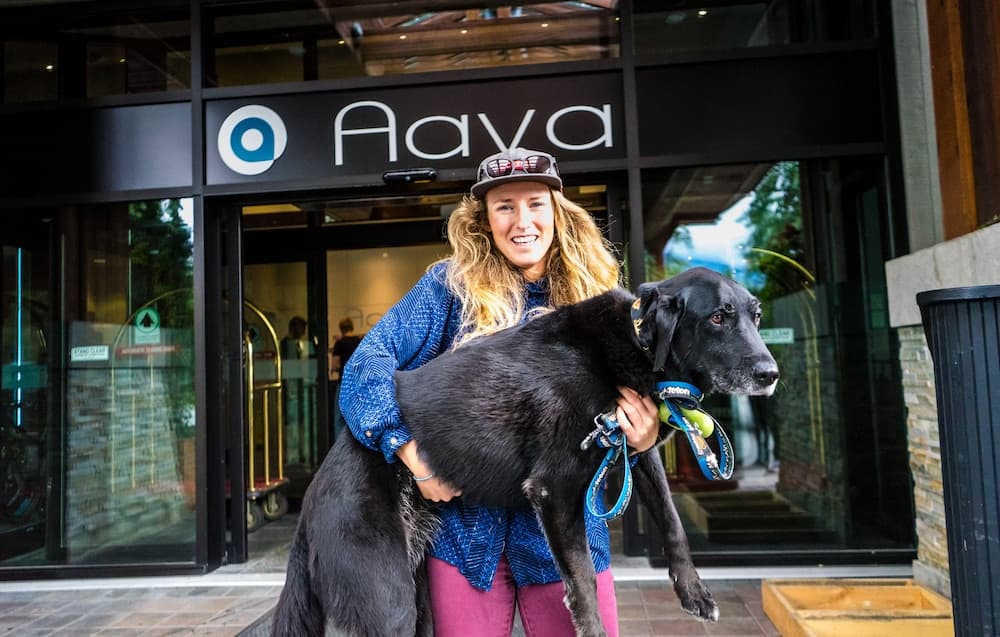 Pet-friendly