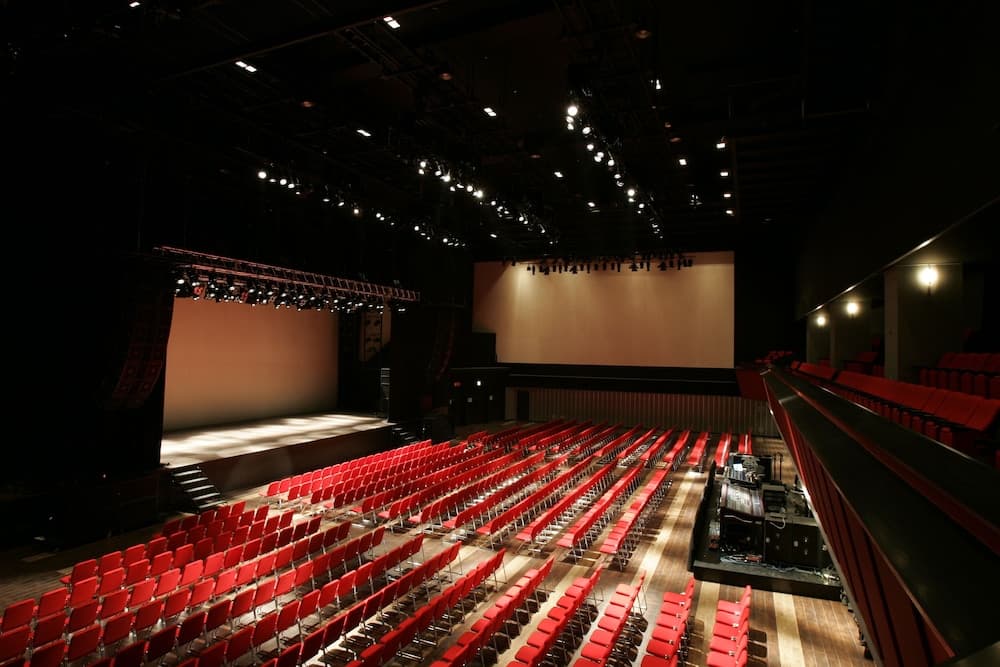 Theater show
