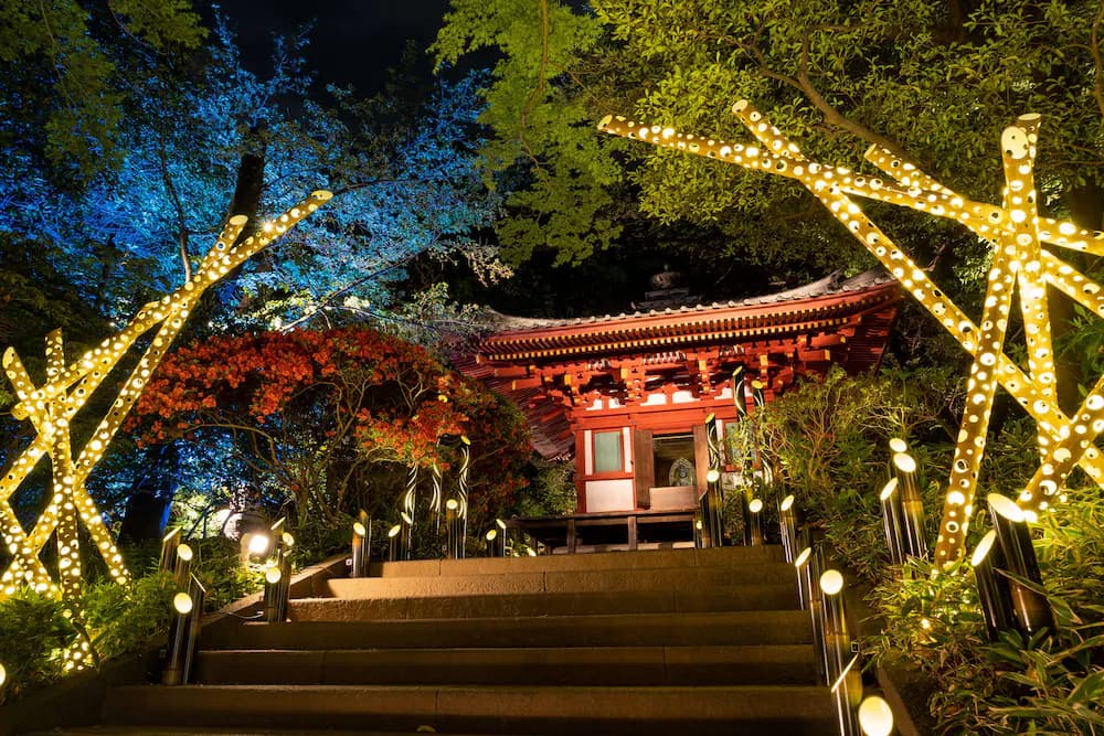Japanese garden