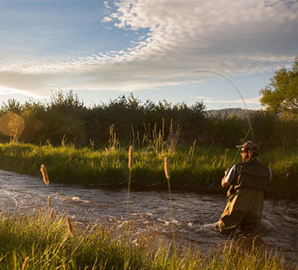 Fishing