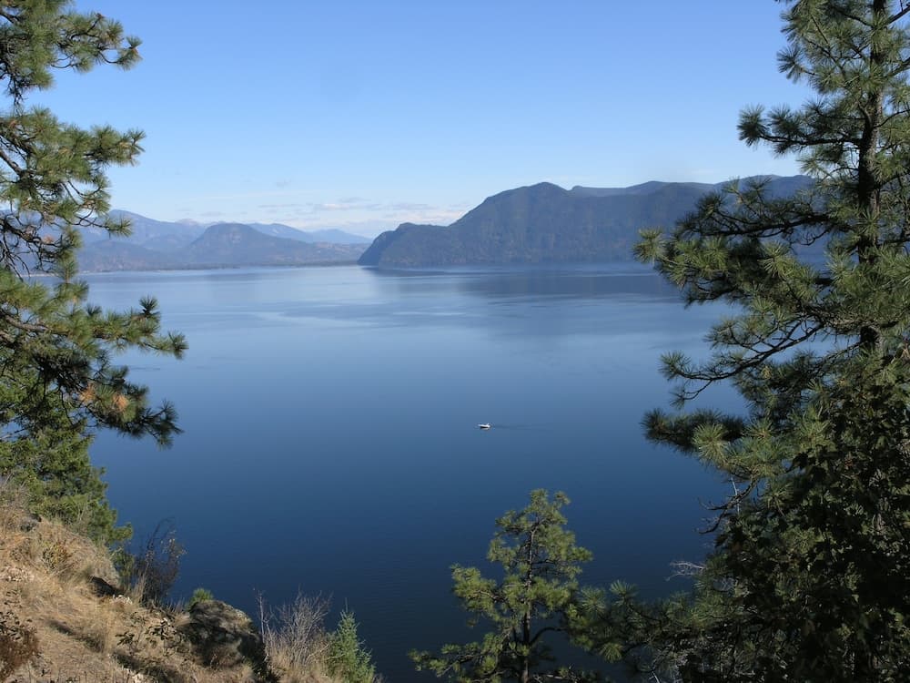 View from property