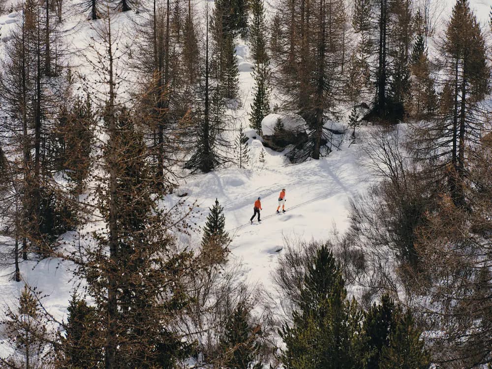 Snow and ski sports