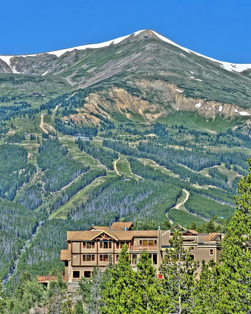 Primary image