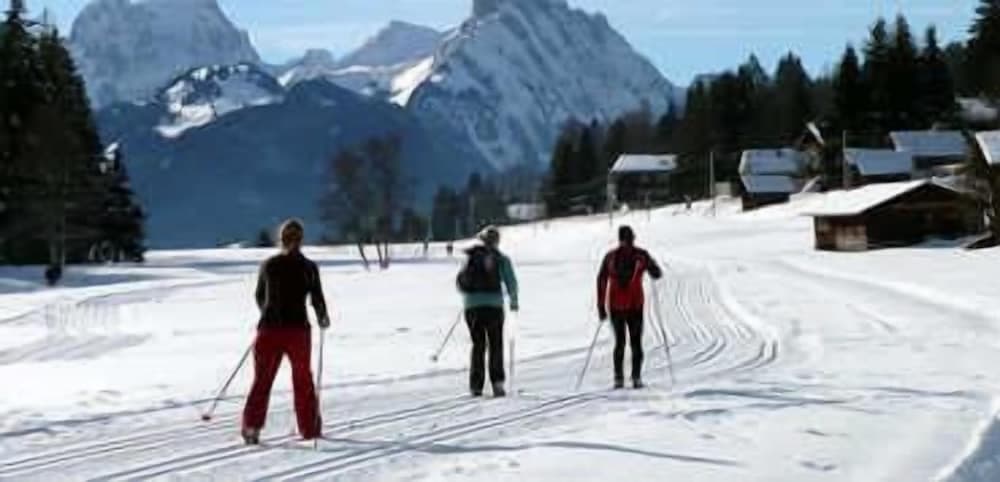 Snow and ski sports