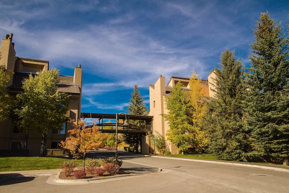 Primary image