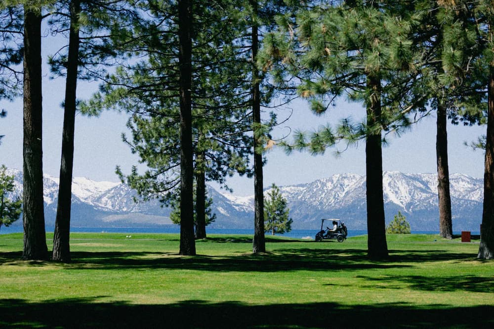 Golf cart