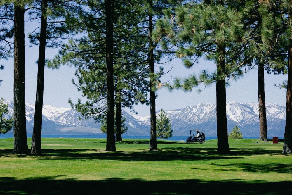 Golf cart