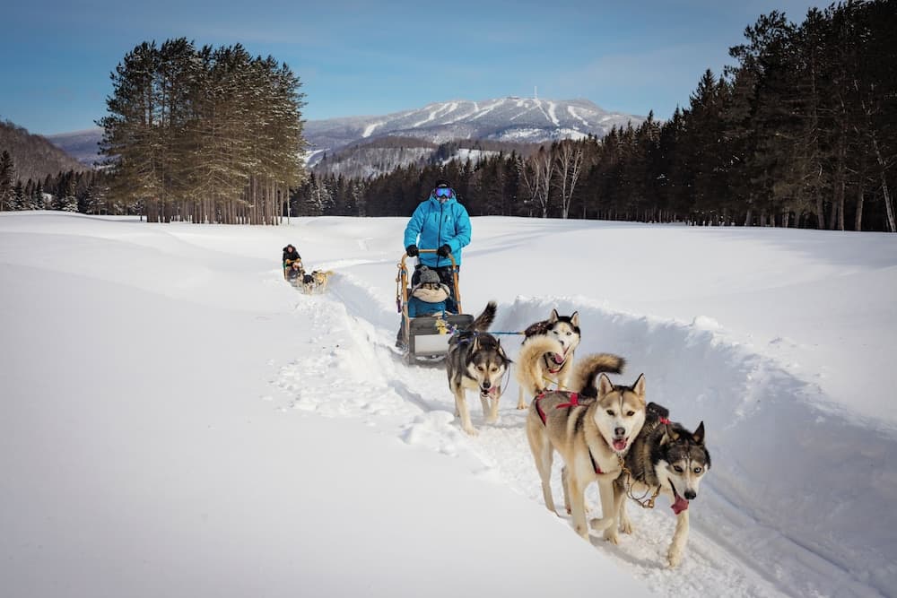 Sledding