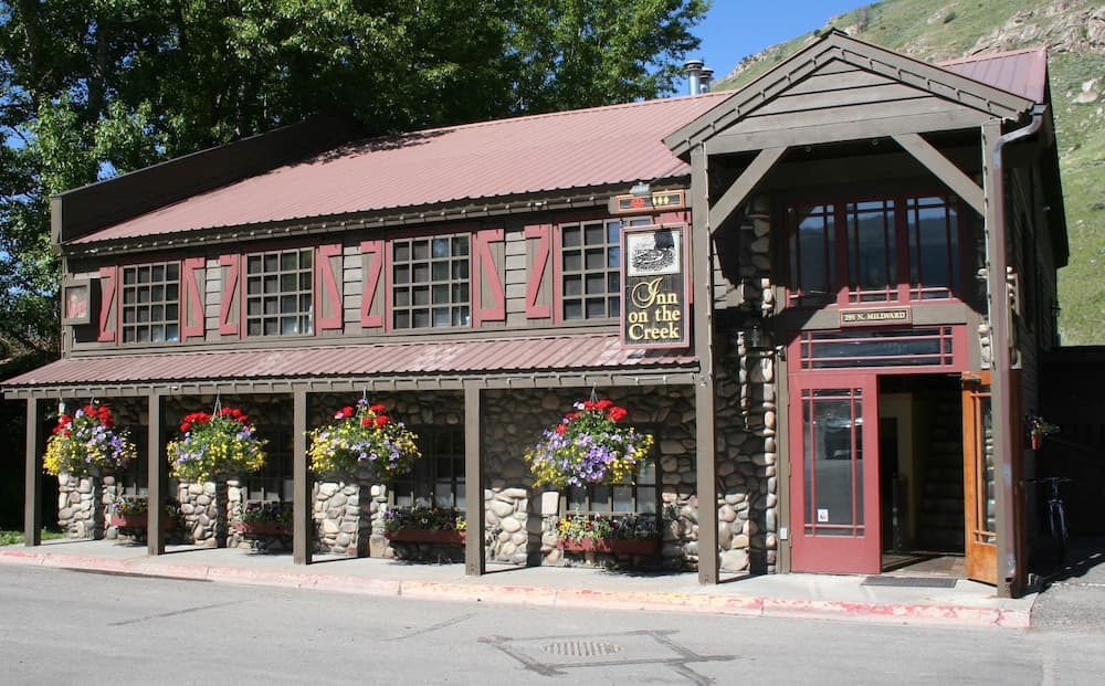 Primary image