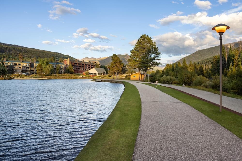 Miscellaneous