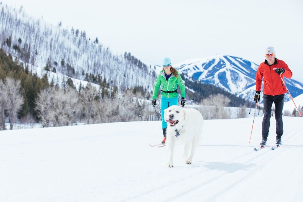 Snowshoeing