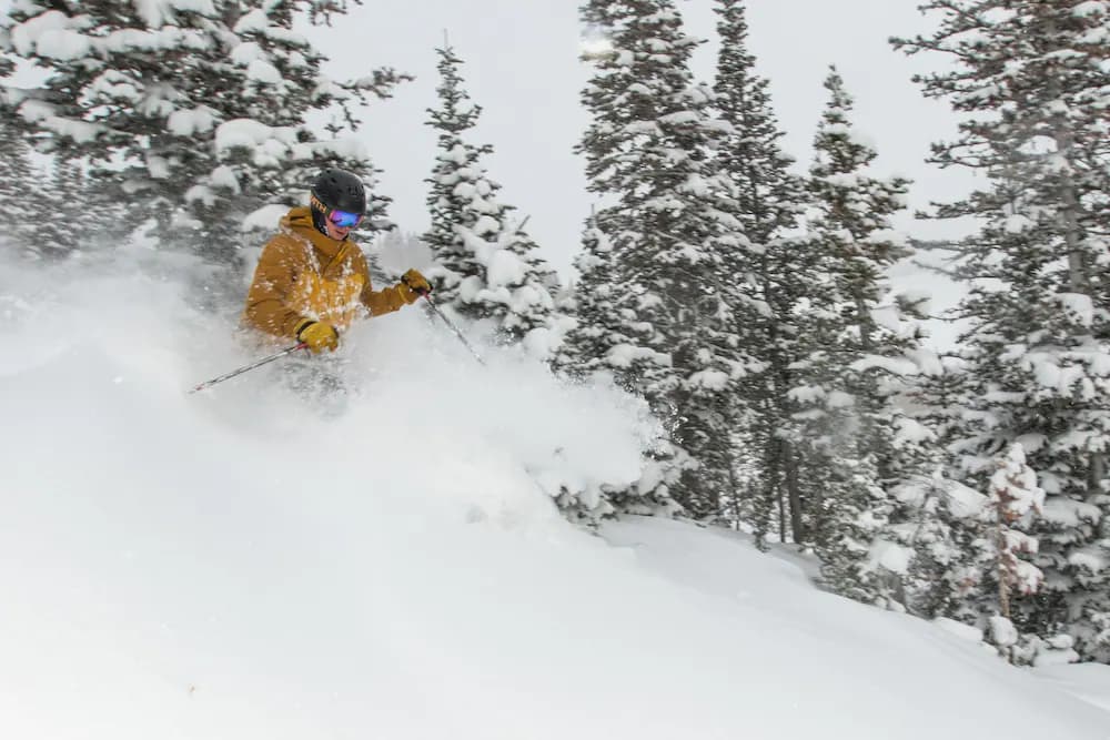 Snowmobiling