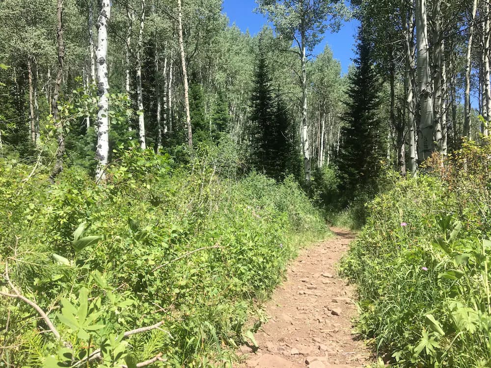Hiking