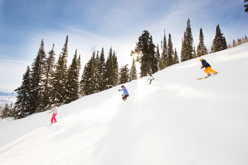 Snow and ski sports