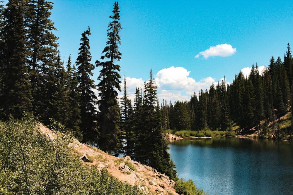 Hiking