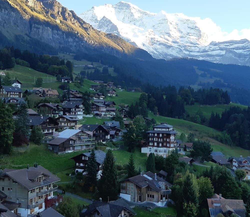 View from room