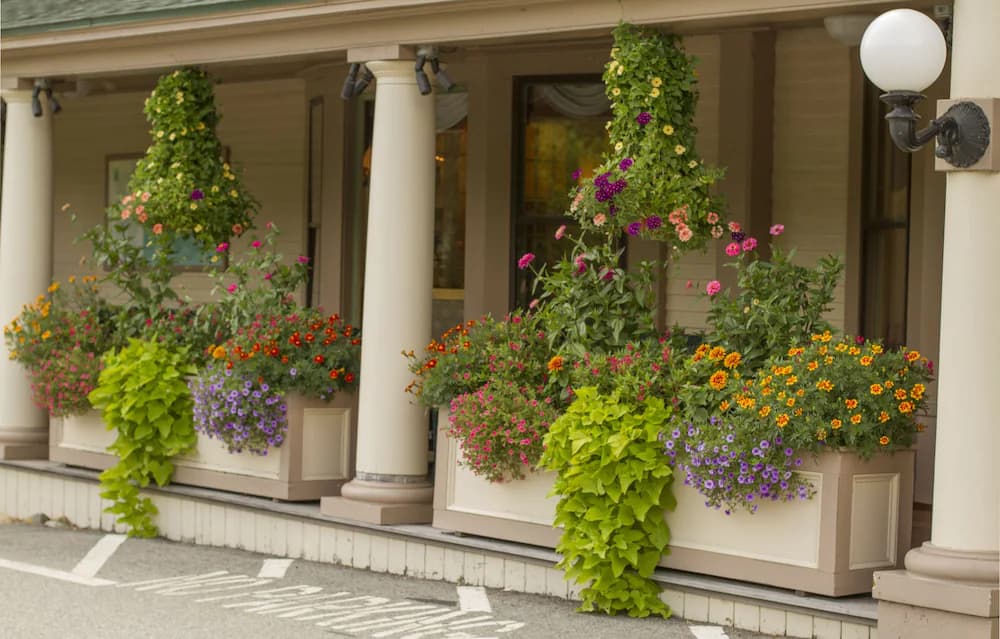 Porch