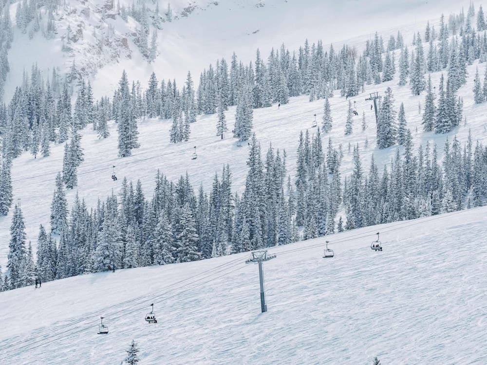 Skiing