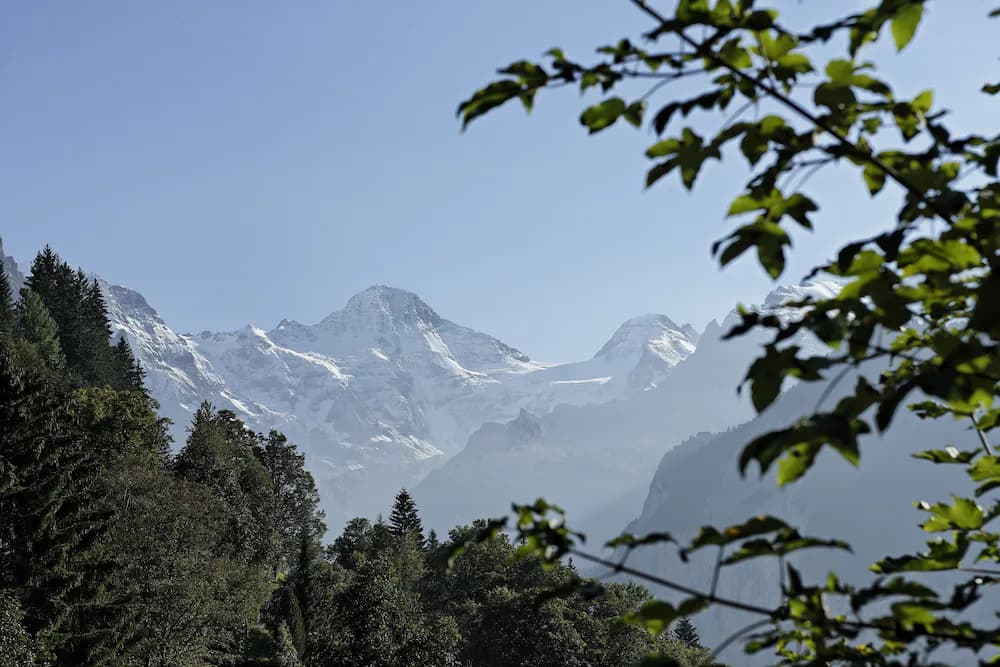 Mountain view