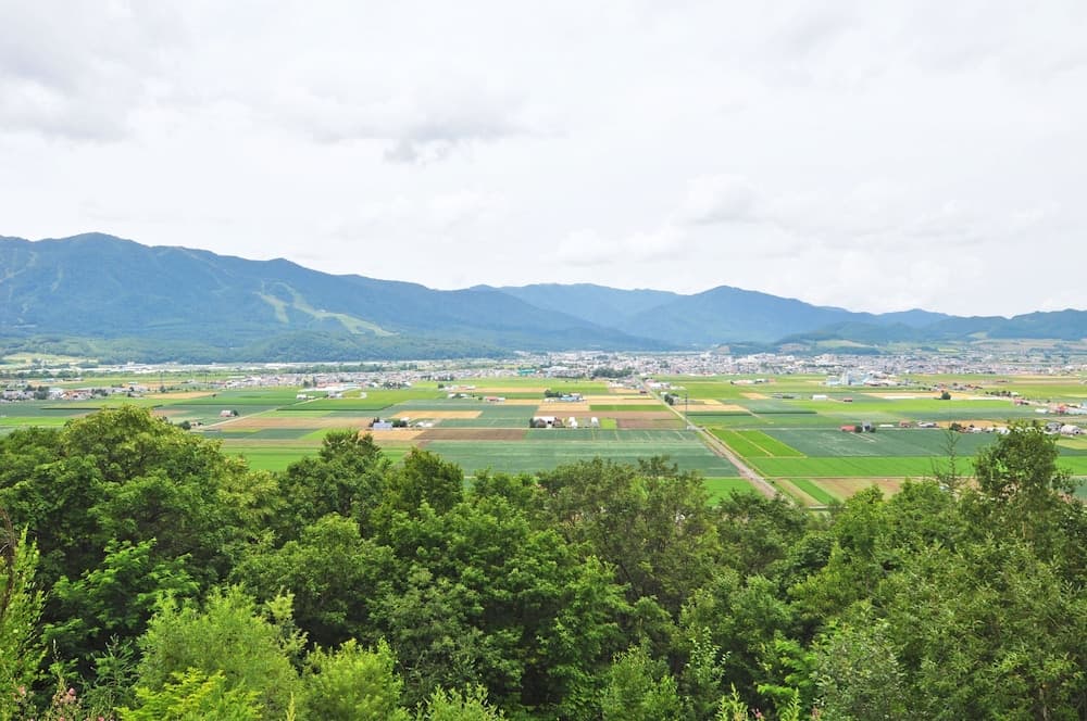 View from property