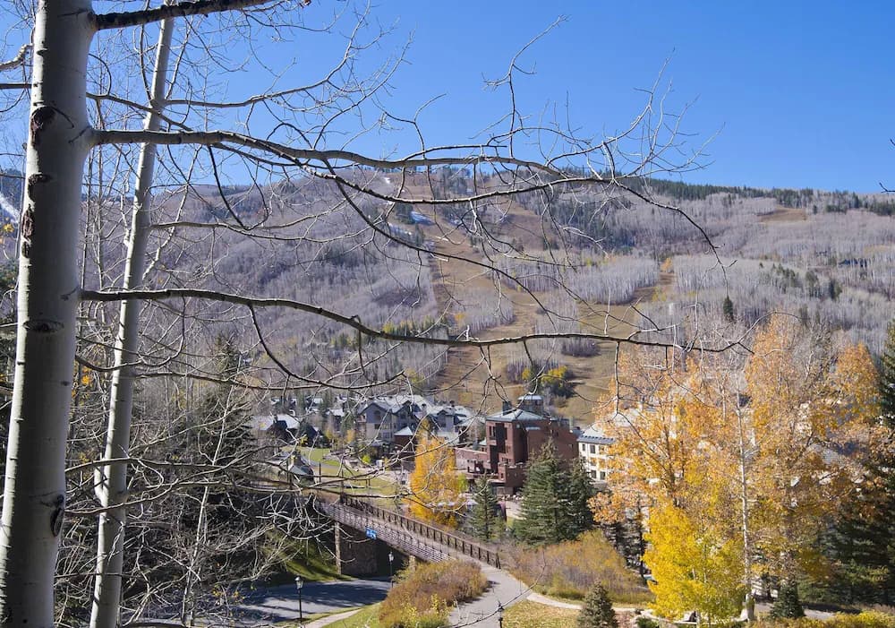 View from property