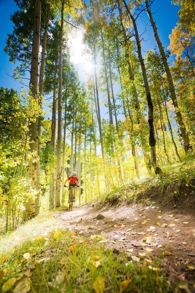 Bicycling