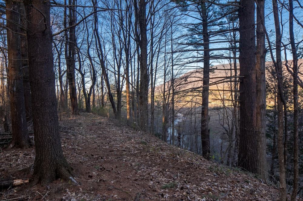 Hiking