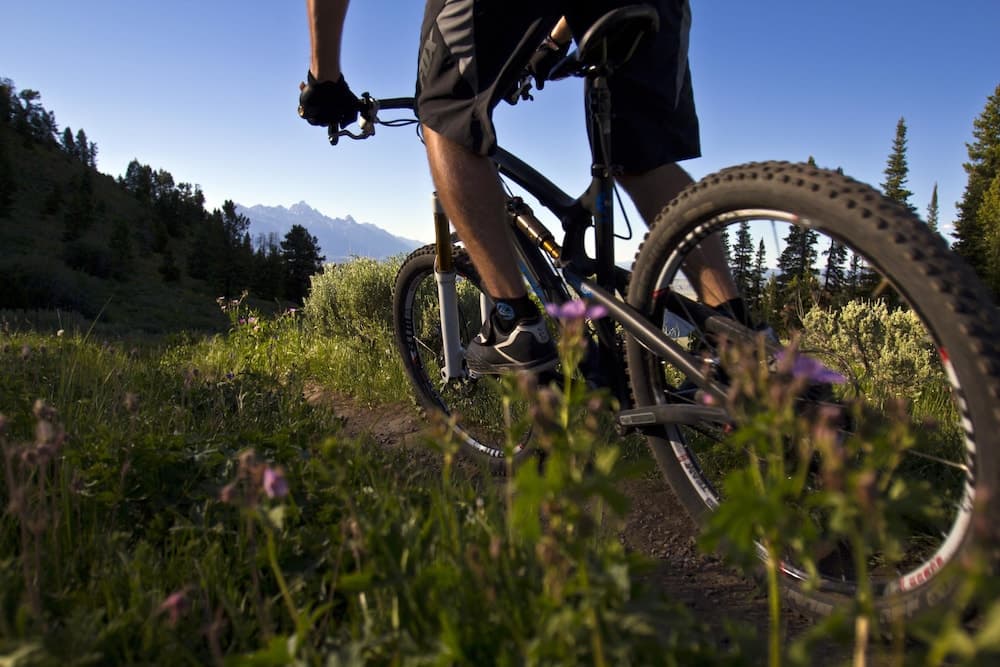 Bicycling