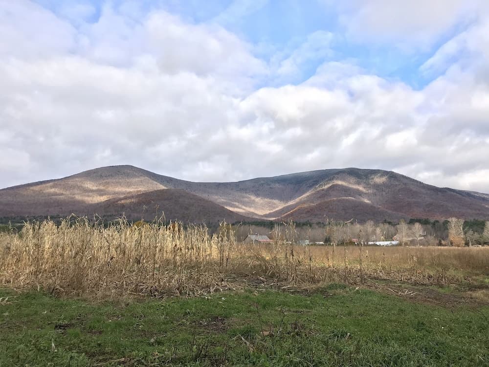 View from property