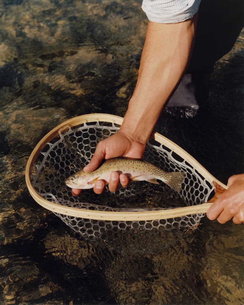 Fishing