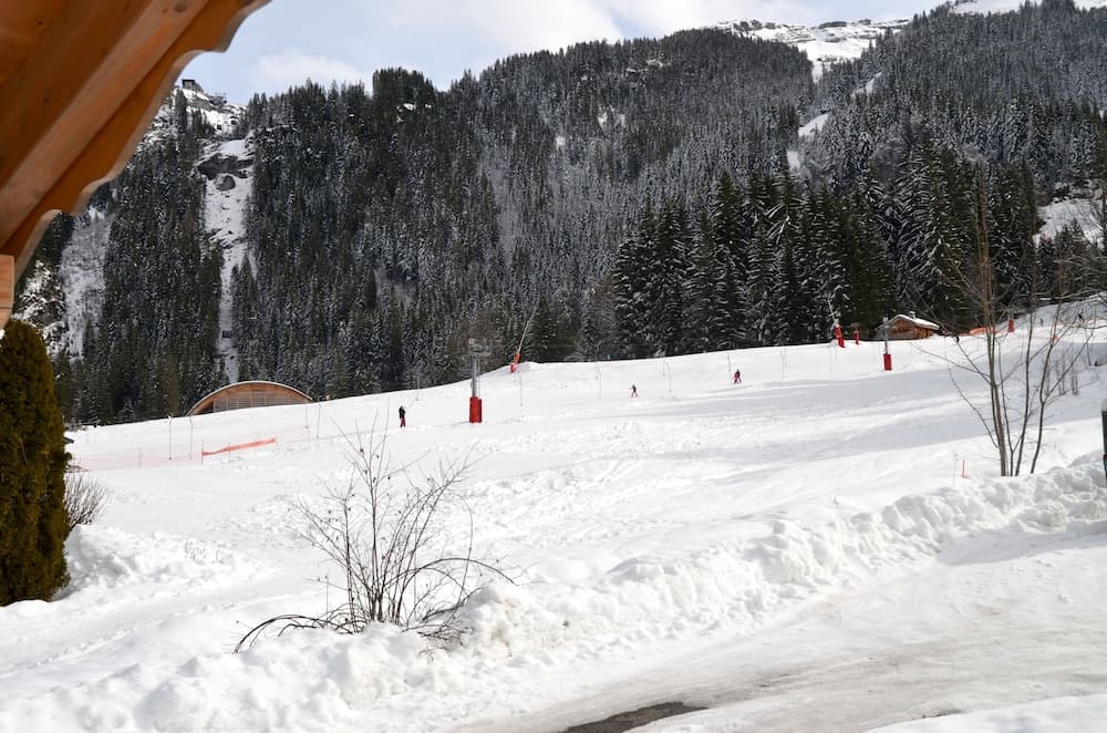 Skiing