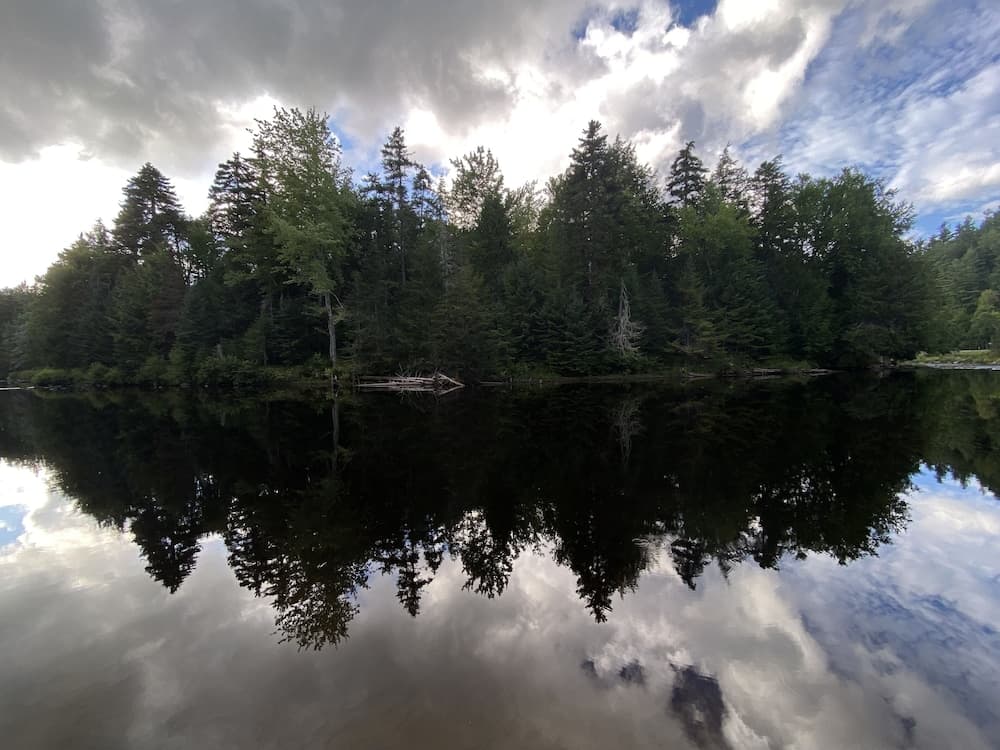 Natural pool