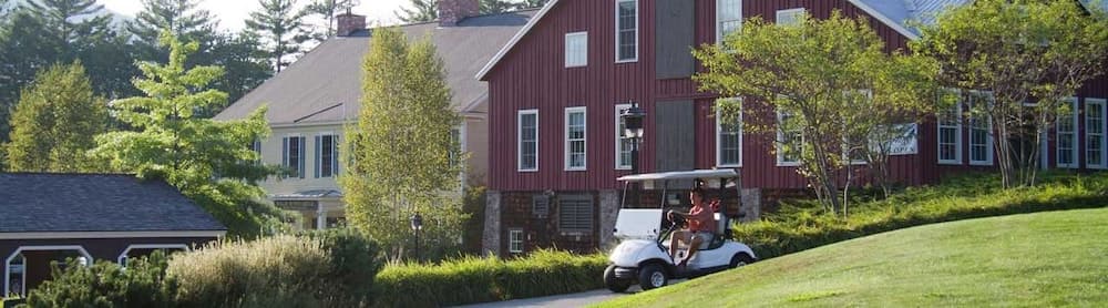 Golf cart