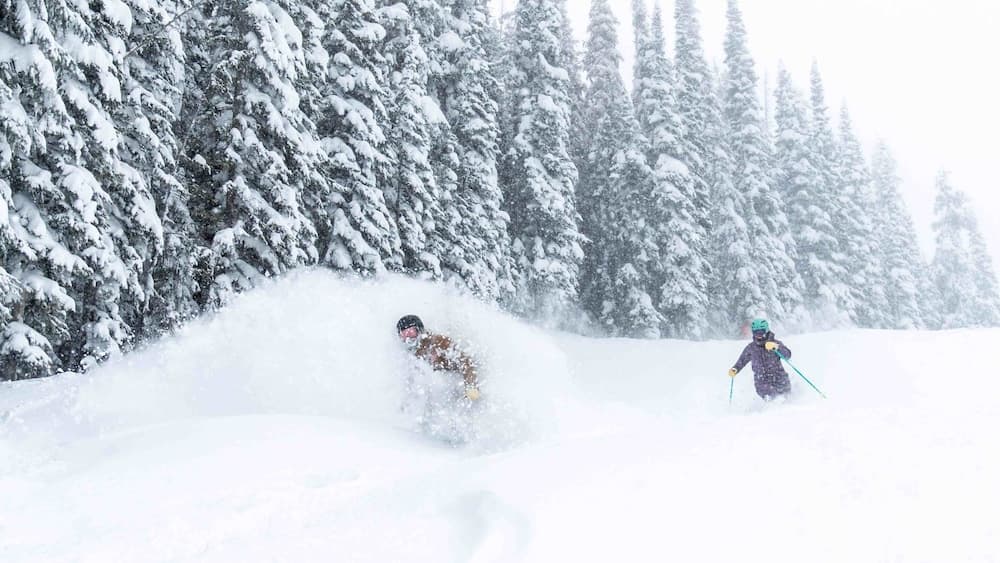 Skiing