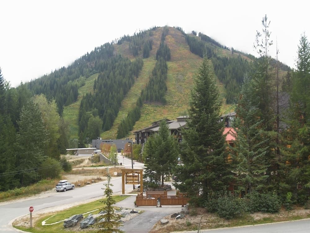View from room