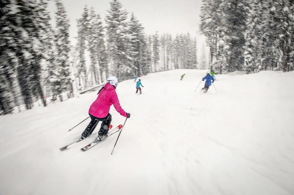 Snow and ski sports