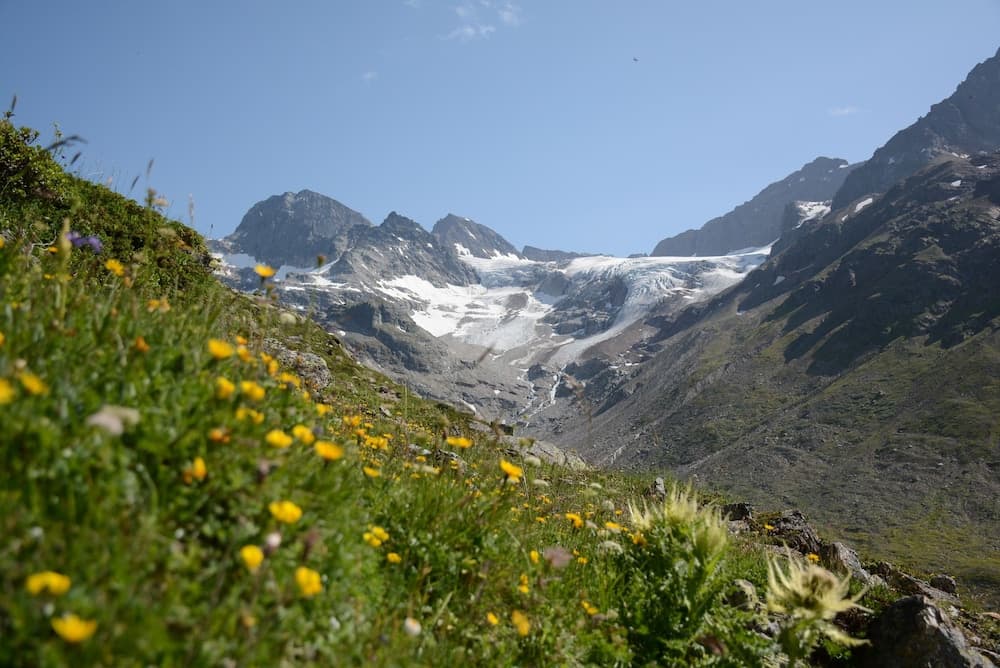 Mountain view