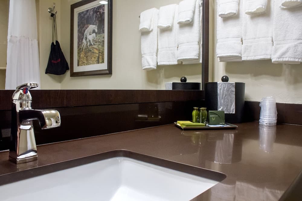 Bathroom sink