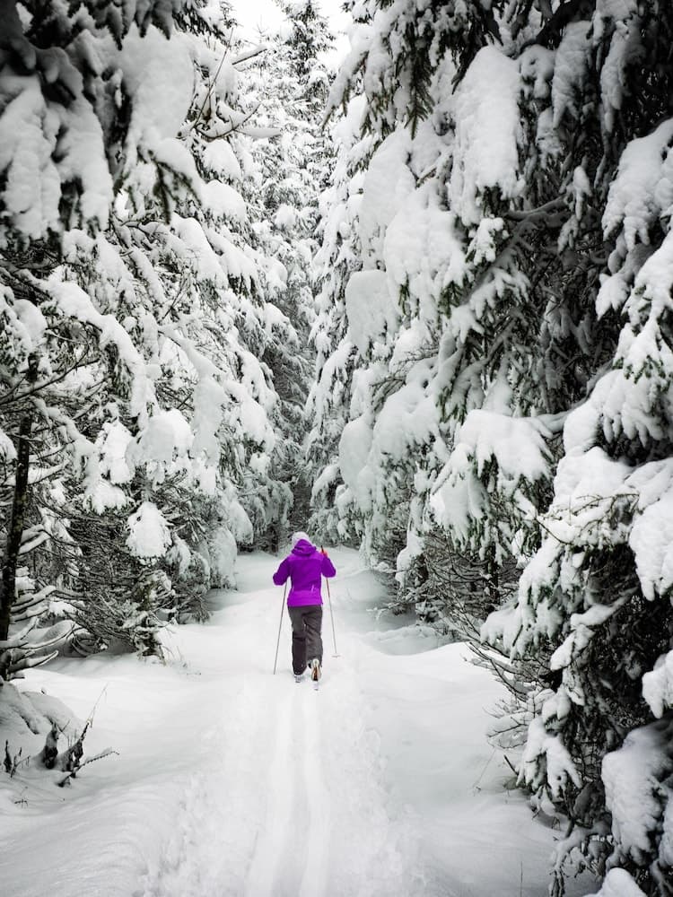 Snow and ski sports
