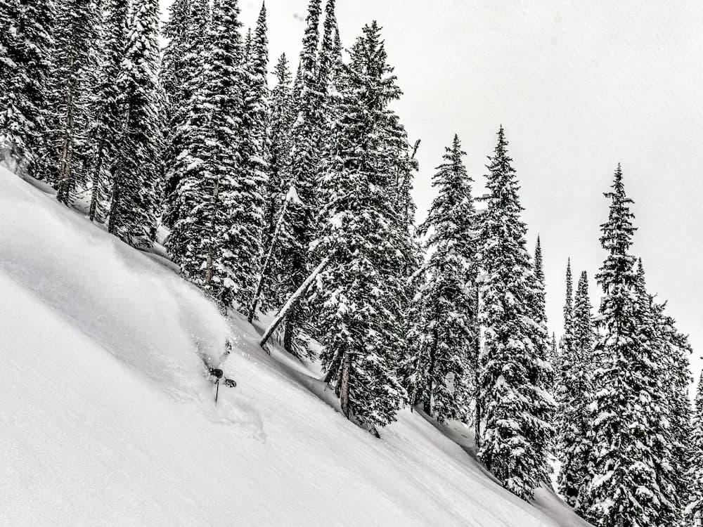 Skiing