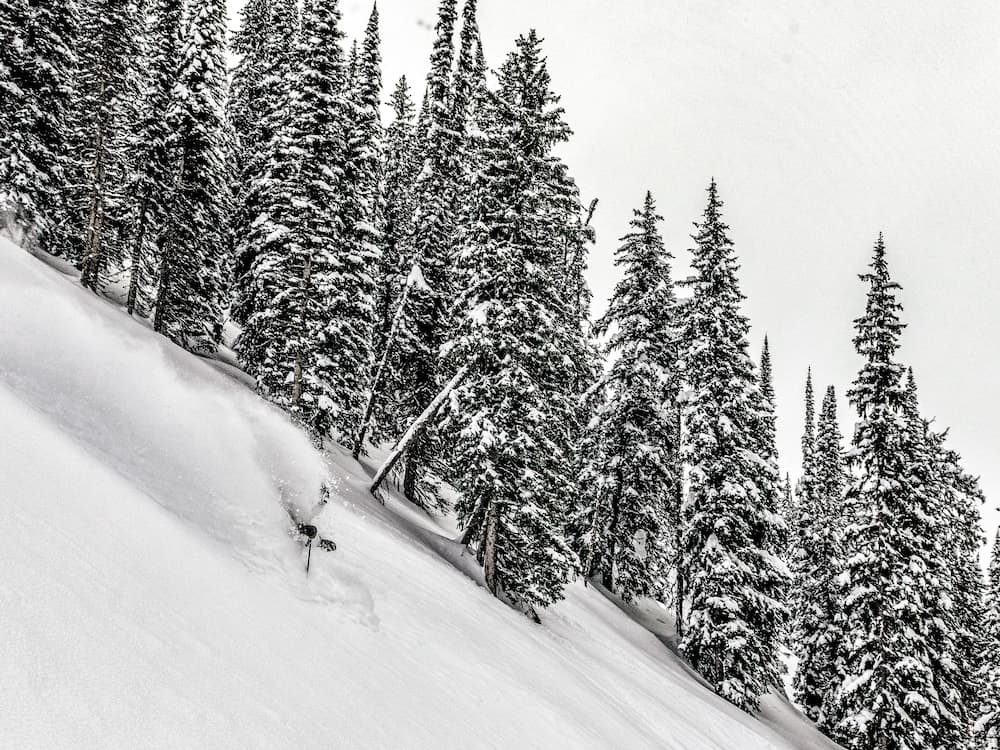 Skiing